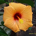 IMG_0048.JPG