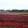 IMG_0140.JPG