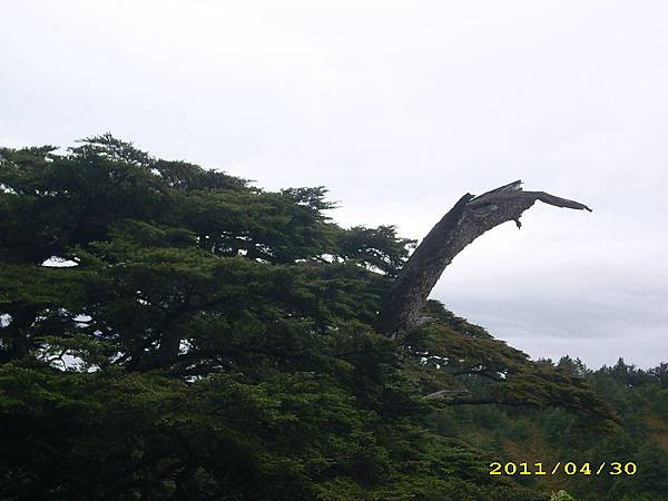 IMG_0245.JPG
