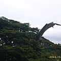 IMG_0245.JPG