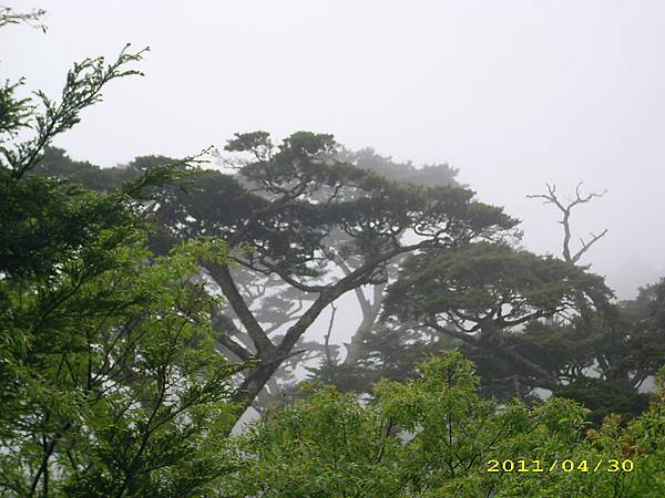 IMG_0231.JPG