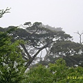 IMG_0231.JPG