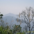 IMG_0002.JPG