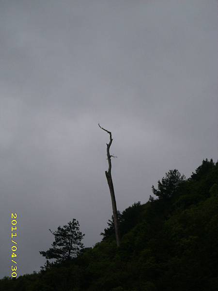 IMG_0259.JPG