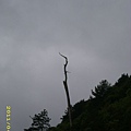 IMG_0259.JPG