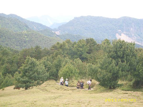 IMG_0317.JPG