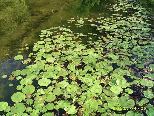 IMG_0161.JPG