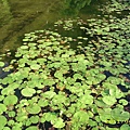IMG_0161.JPG