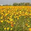 IMG_0090.JPG