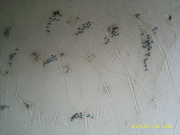 IMG_0046.JPG