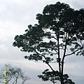 IMG_0118.JPG