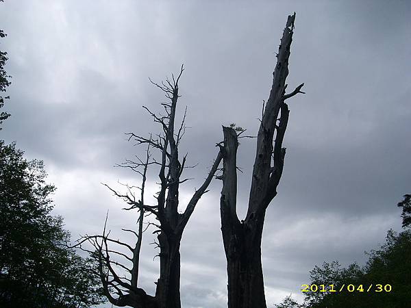 IMG_0214.JPG