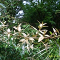 IMG_0274.JPG