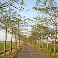 IMG_0055.JPG