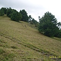 IMG_0312.JPG