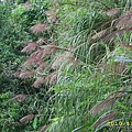 IMG_0100.JPG