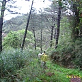 IMG_0292.JPG
