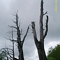 IMG_0216.JPG