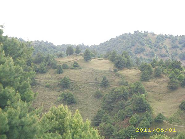 IMG_0315.JPG