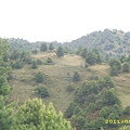 IMG_0315.JPG