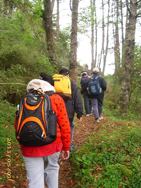 IMG_0296.JPG