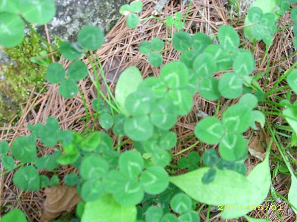 IMG_0340.JPG