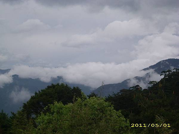 IMG_0338.JPG