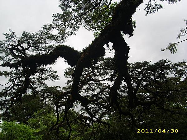IMG_0282.JPG