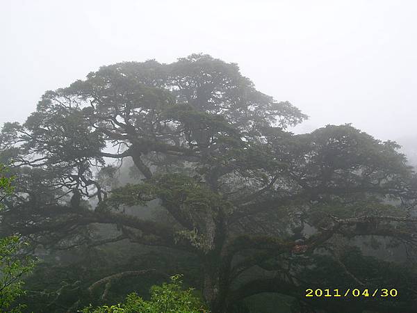 IMG_0232.JPG