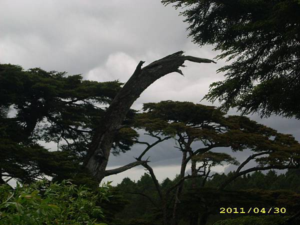 IMG_0278.JPG