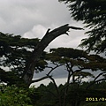 IMG_0278.JPG