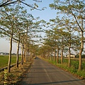 IMG_0056.JPG
