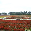 IMG_0135.JPG