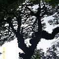 IMG_0299.JPG