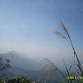 IMG_0004.JPG