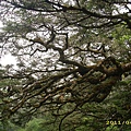 IMG_0233.JPG