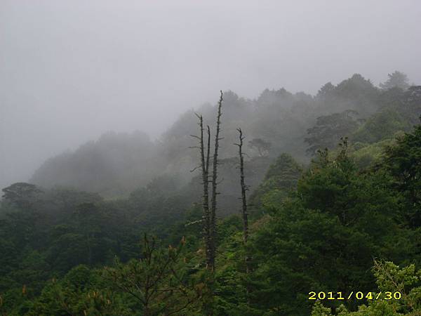 IMG_0228.JPG