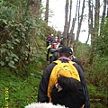 IMG_0297.JPG
