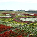 IMG_0138.JPG