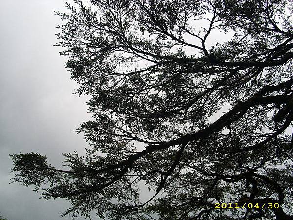 IMG_0283.JPG