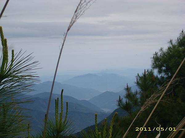 IMG_0311.JPG