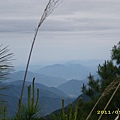 IMG_0311.JPG
