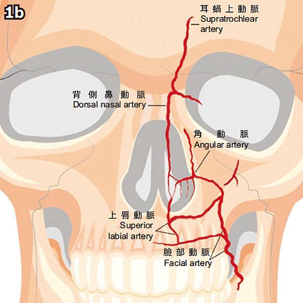 還我漂漂拳5.jpg