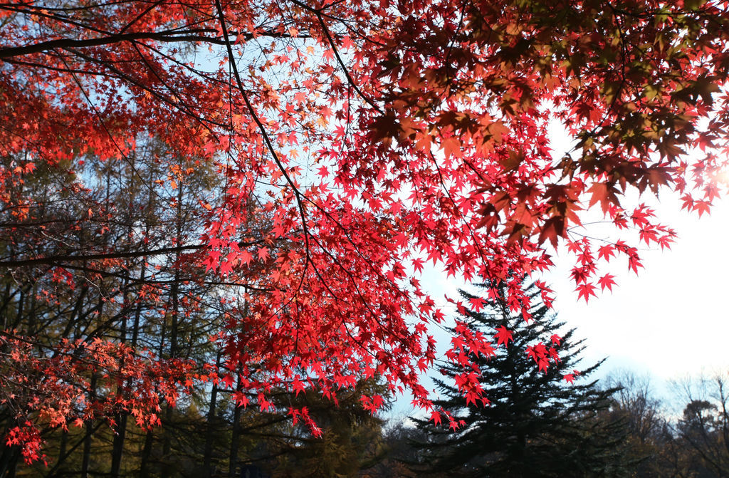 IMG_8474.jpg