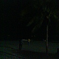 沙灘夜景
