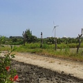 20130629_102714.jpg