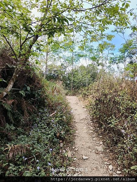 登觀望山【國巨登山社】