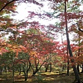 京都金閣寺