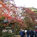 京都金閣寺