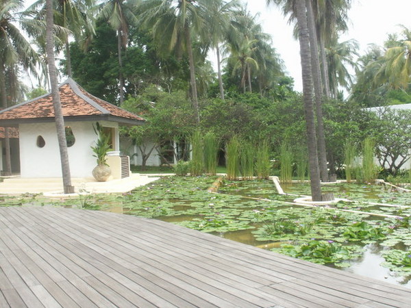 池景